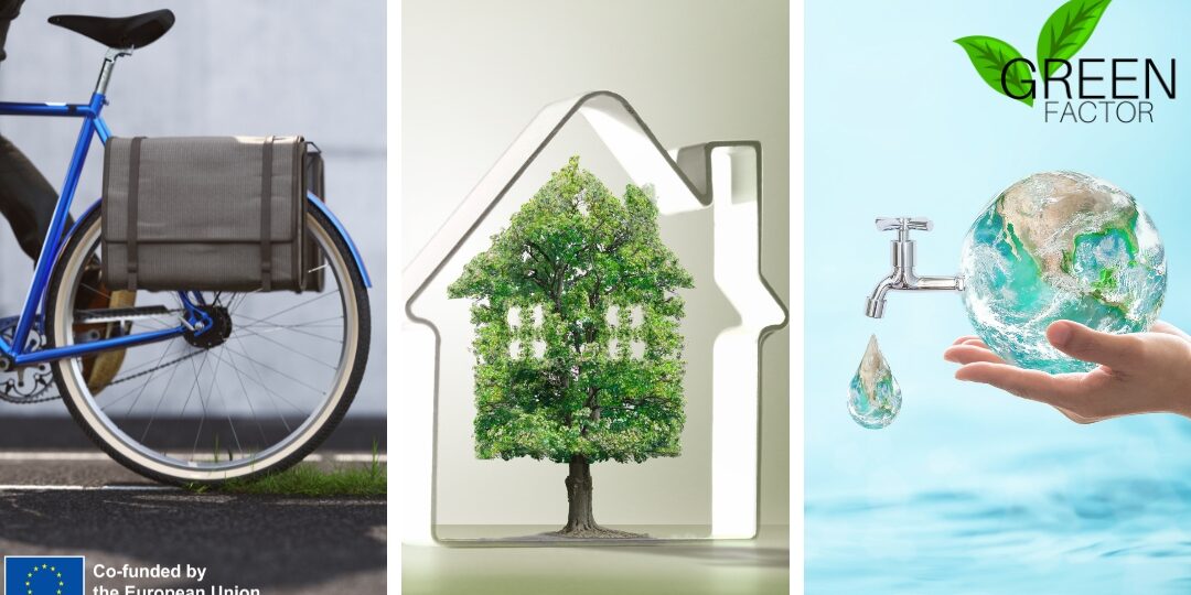 Diseño sin título (24)